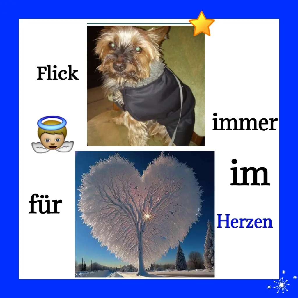 Andachtsbild von Martina mit Seelenhund Samy ♥️⭐♥️ für immer im Herzen 