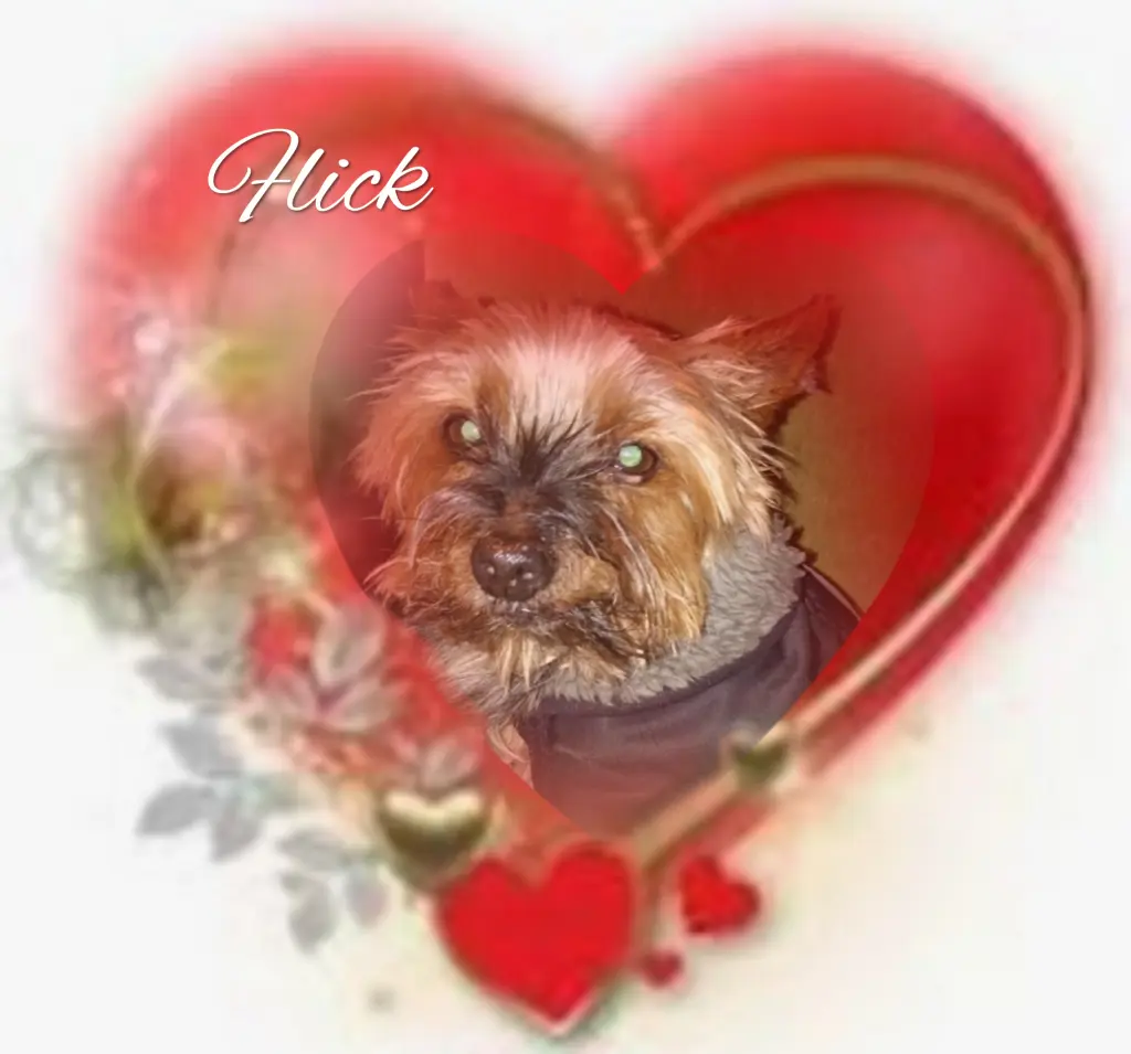 Andachtsbild von ❤️❤️