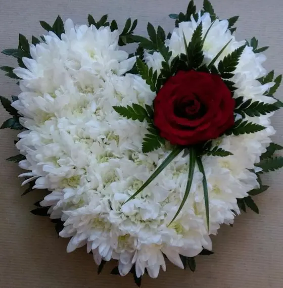 Andachtsbild von Martina mit Seelenhund Samy ♥️⭐♥️ für immer im Herzen 