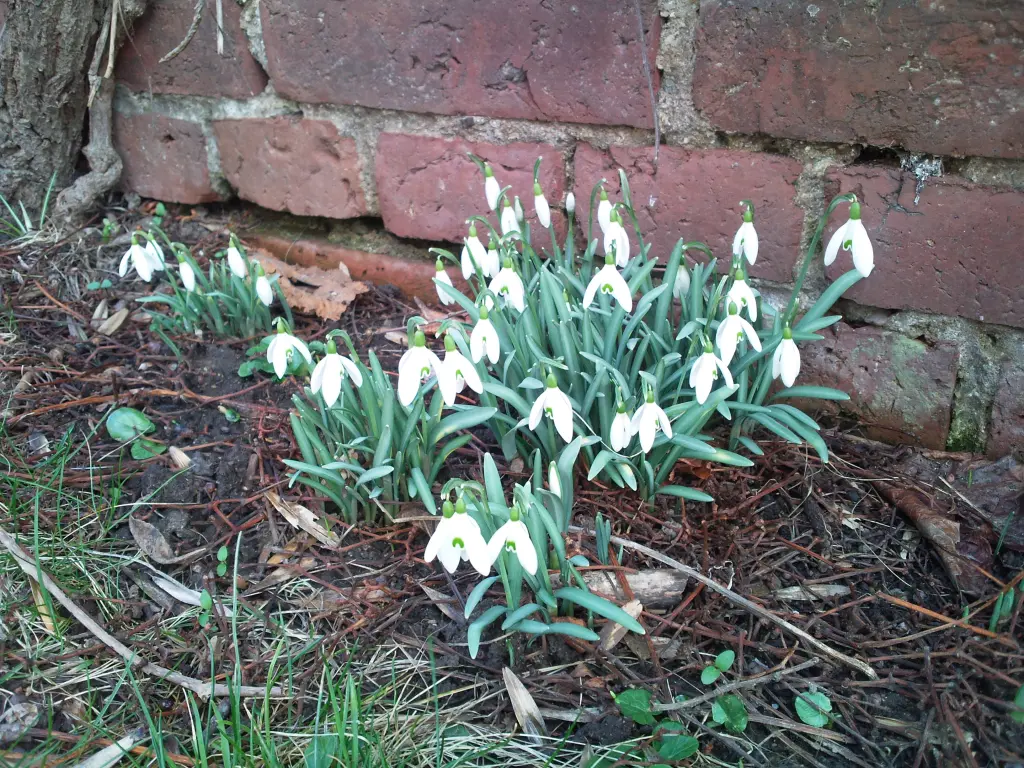 Andachtsbild von  Deiner Mami