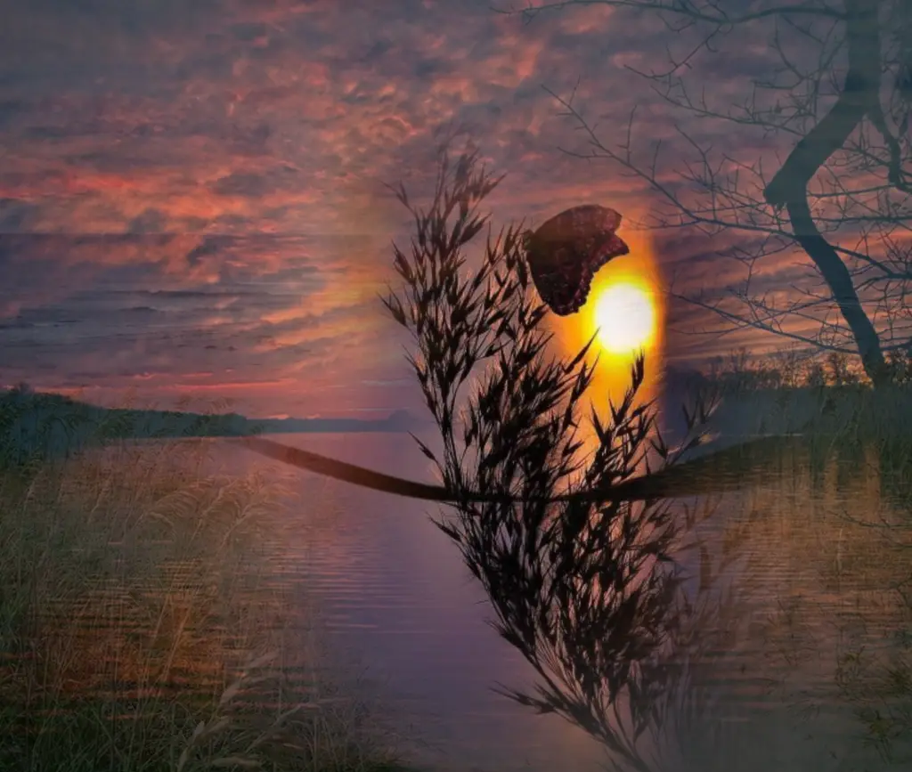 Andachtsbild von Gaby mit Snowy* im Herzen 