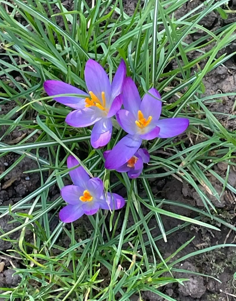 Andachtsbild von Gaby mit Snowy ❤️