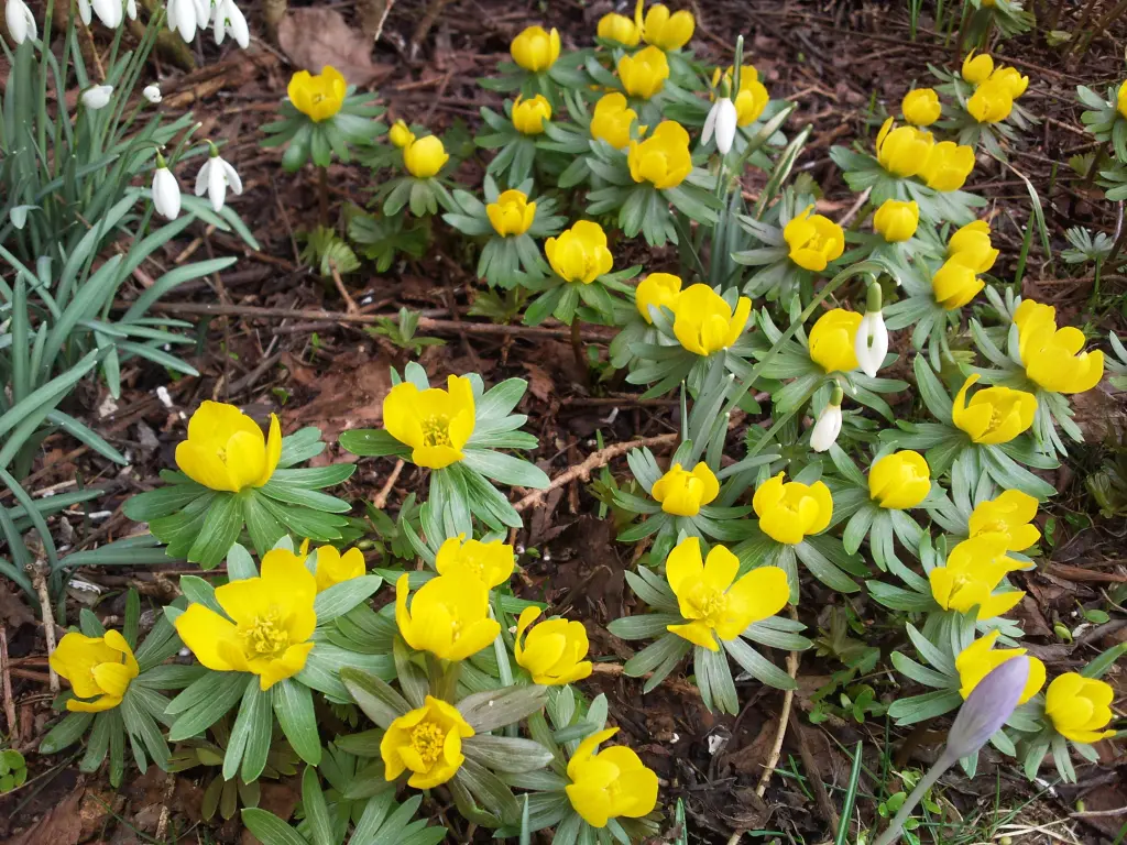 Andachtsbild von Deiner Familie