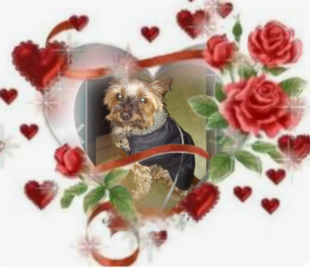 Andachtsbild von ❤️to❤️