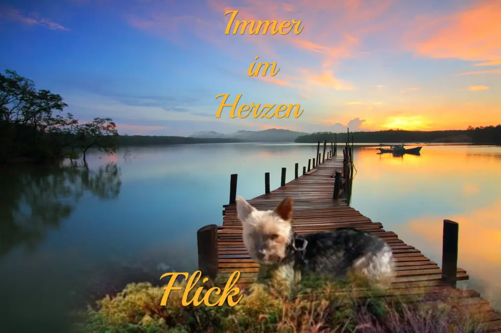 Andachtsbild von Immer im Herzen ❤️