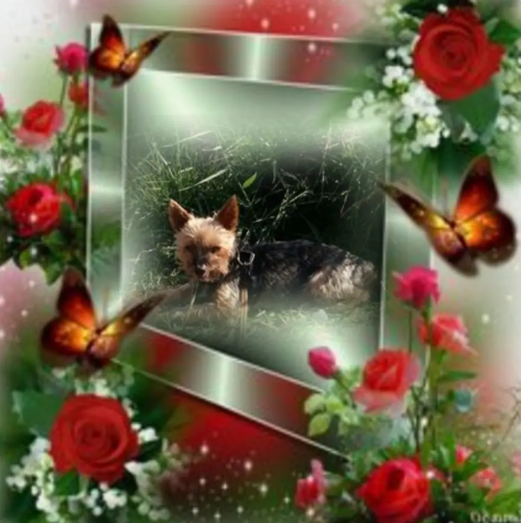 Andachtsbild von Flick ♥️ geliebt♥️ und unvergessen♥️