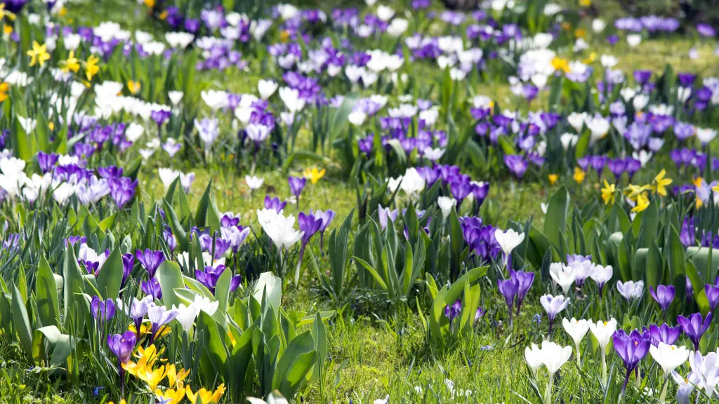 Andachtsbild von Gaby mit Snowy ❤️