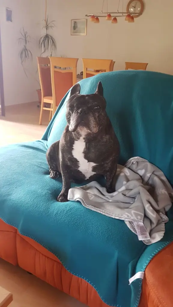 Andachtsbild von Alois und Gudrun mit Yoda ❤️