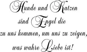 Andachtsbild von Snoopy❤Pünktchen 