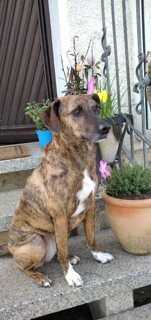 Andachtsbild von Erika