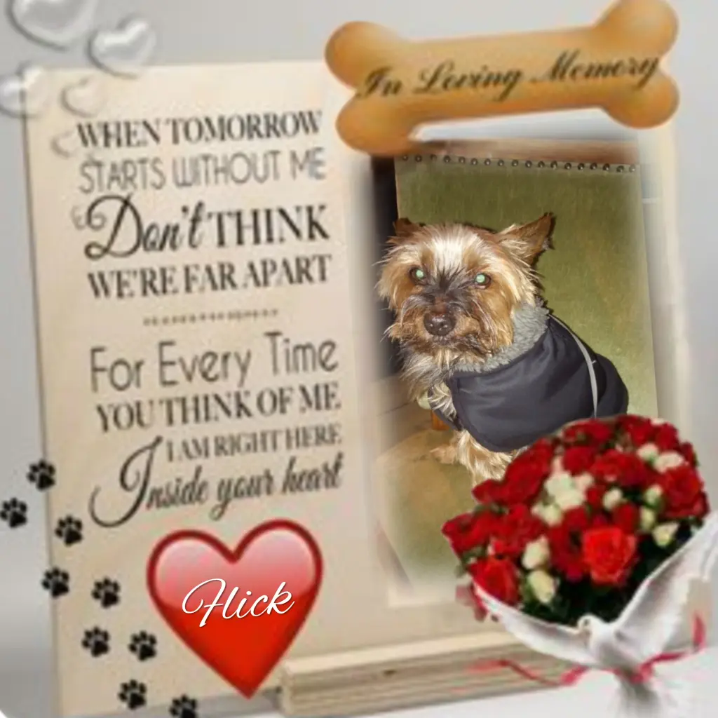 Andachtsbild von ❤️to❤️