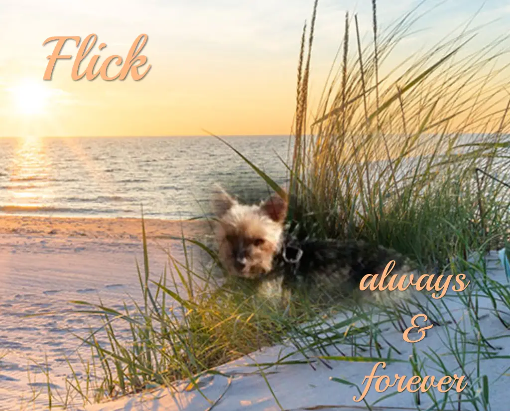 Andachtsbild von 16 Monate... Sehnsucht ♥️