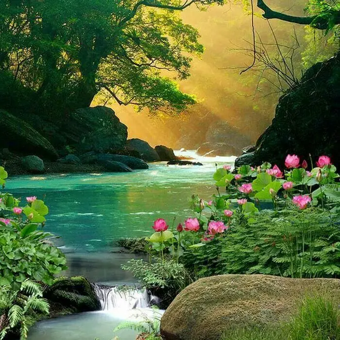 Andachtsbild von Gaby mit Snowy ❤️