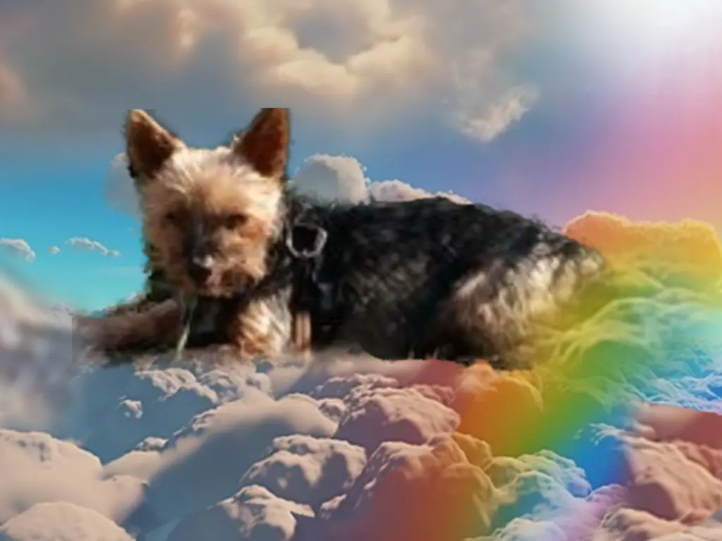 Andachtsbild von ❤️Grüße aus dem Himmel❤️