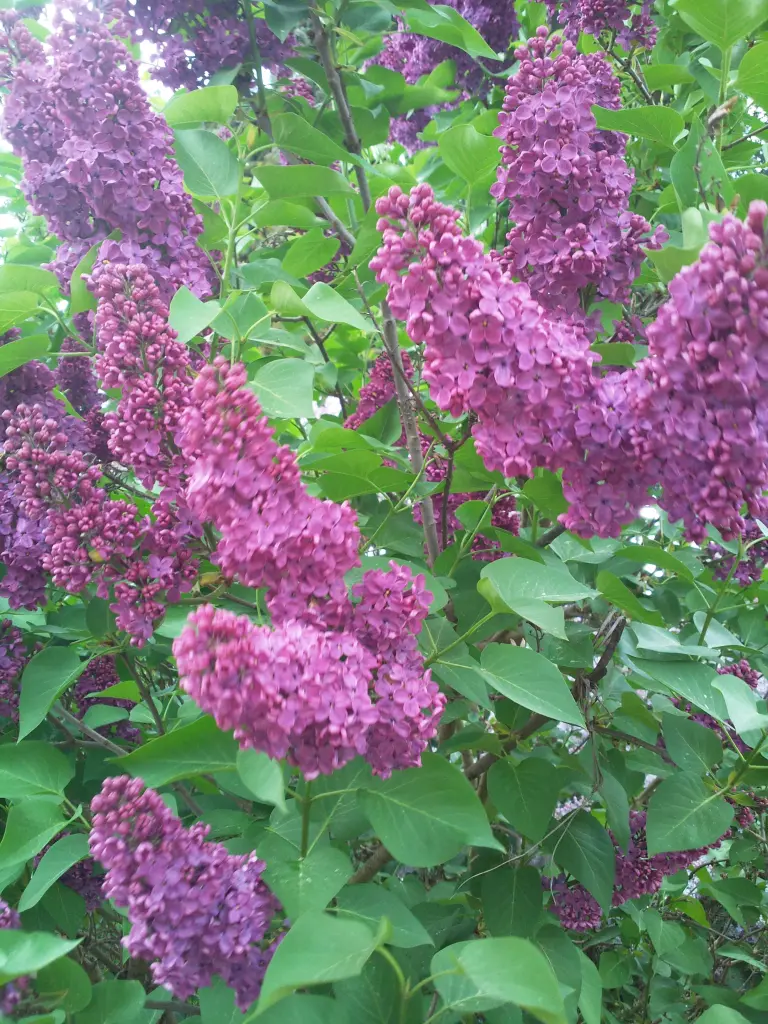 Andachtsbild von Deiner Familie