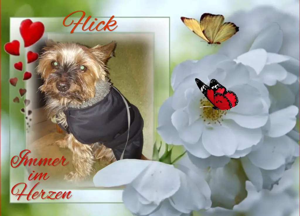 Andachtsbild von Flick♥️ geliebt♥️ und unvergessen♥️
