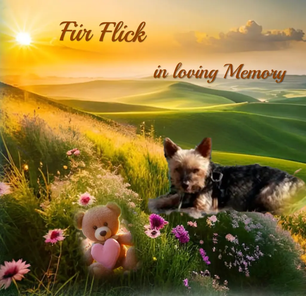 Andachtsbild von Gaby mit Snowy* im Herzen 