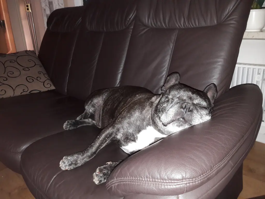 Andachtsbild von Alois und Gudrun mit Yoda ♥️