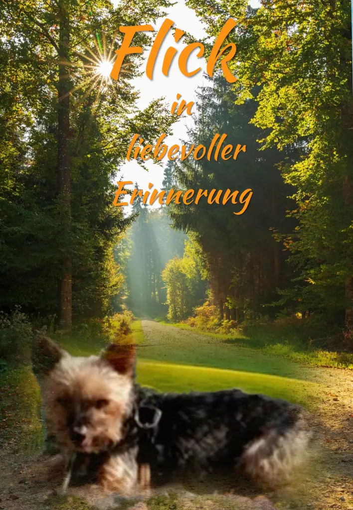 Andachtsbild von ♥️Immer im Herzen ❤️