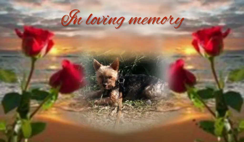 Andachtsbild von Flick♥️ geliebt♥️ und unvergessen♥️