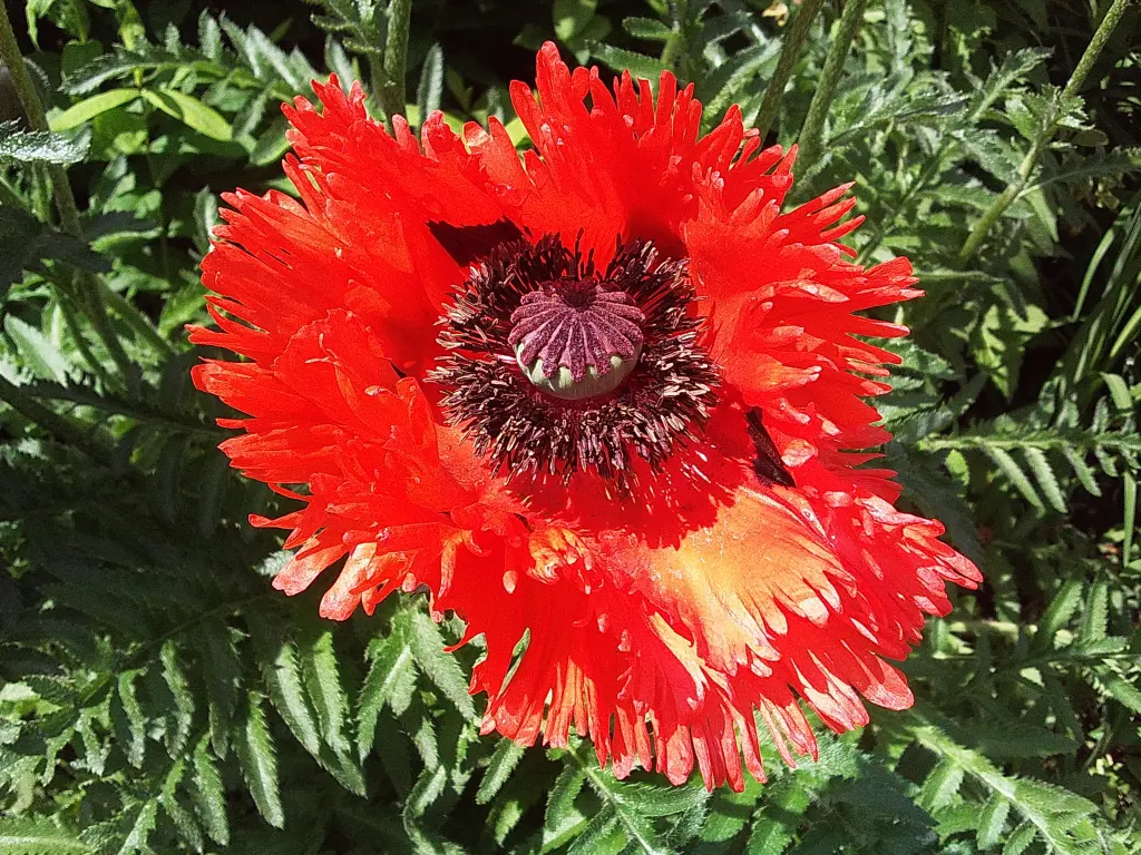 Andachtsbild von Deiner Familie