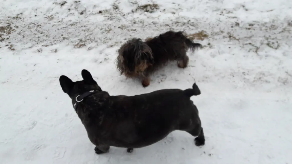 Andachtsbild von Alois und Gudrun mit Yoda ♥️