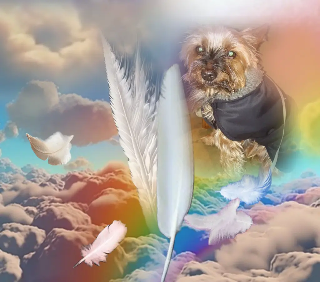 Andachtsbild von ♥️Grüße aus dem Himmel♥️