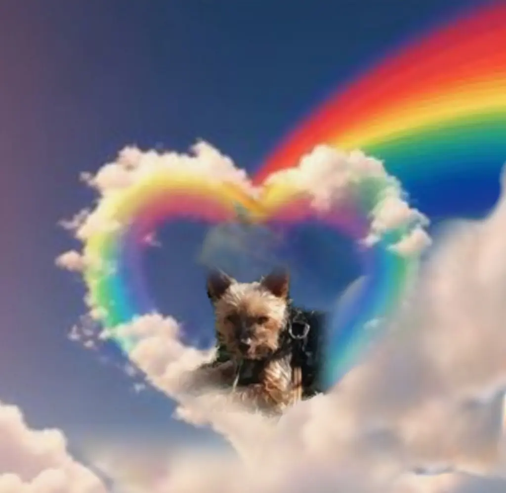 Andachtsbild von Flick♥️