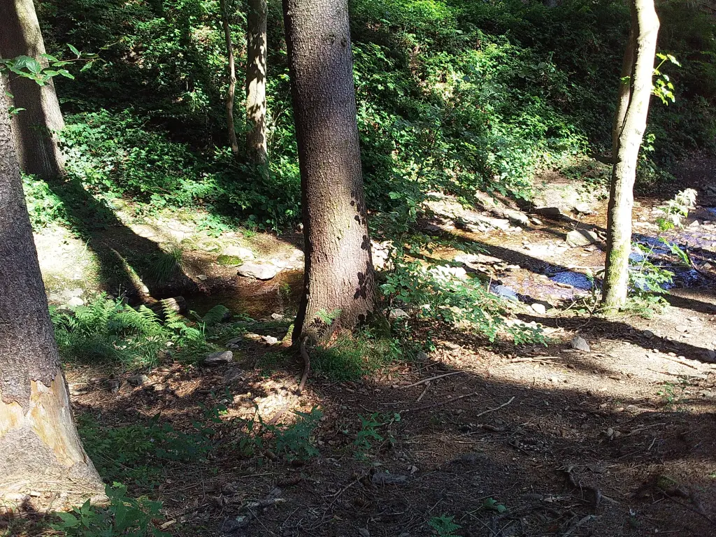 Andachtsbild von Deiner Familie