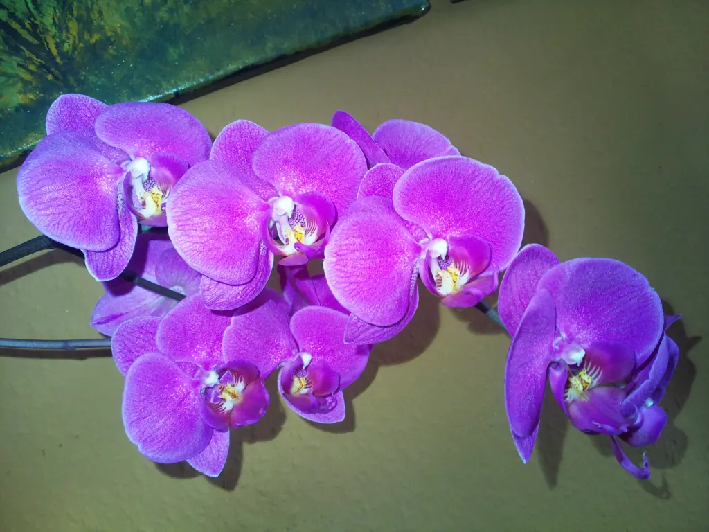 Andachtsbild von Deiner Familie