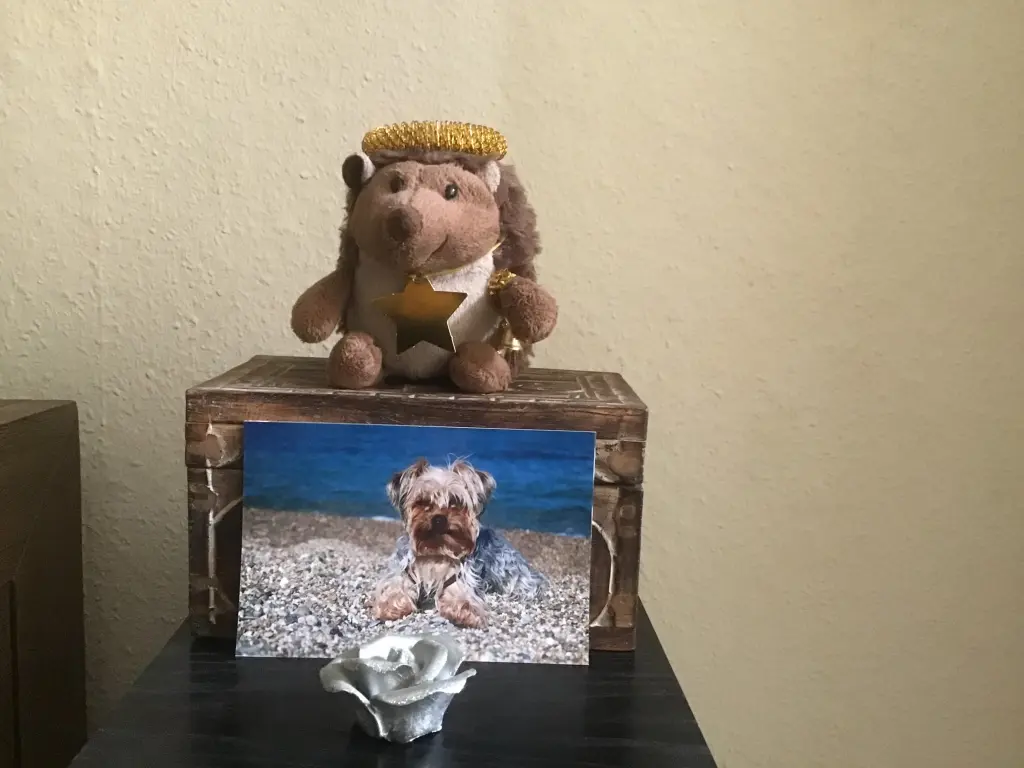 Andachtsbild von Christiane mit Kenny im Herzen ❤️