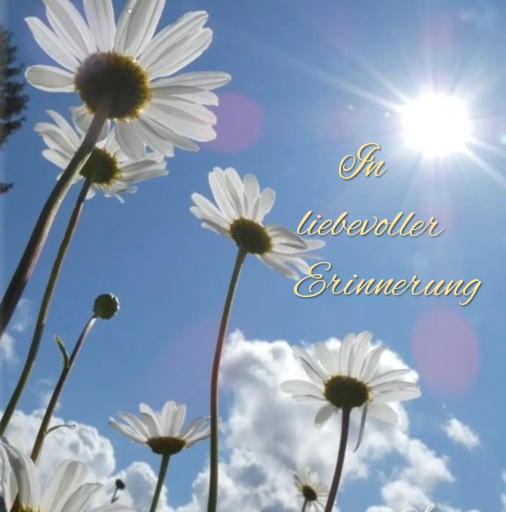 Andachtsbild von Sonntags Grüße ❤️