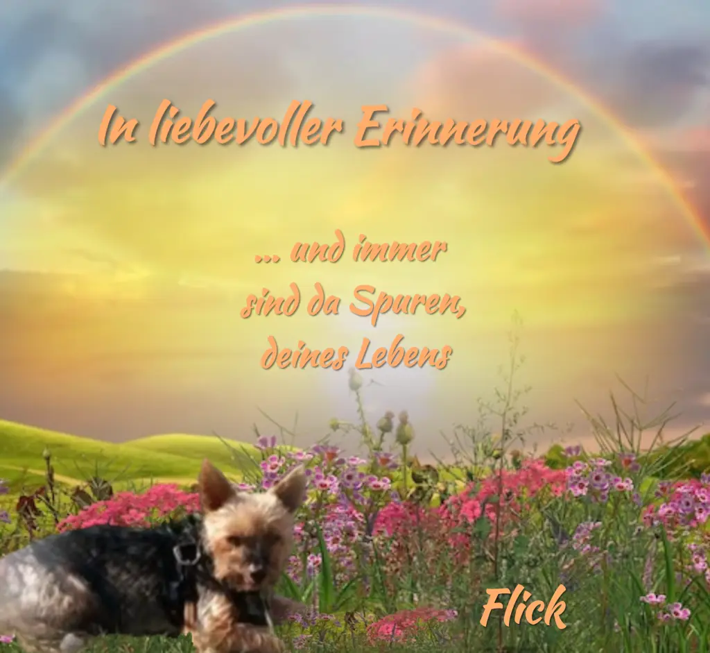 Andachtsbild von ❤️Immer im Herzen ❤️