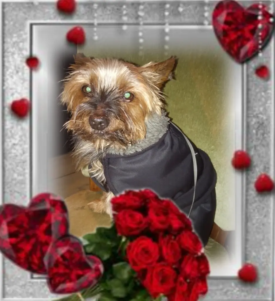 Andachtsbild von Flick♥️ geliebt♥️ und unvergessen♥️