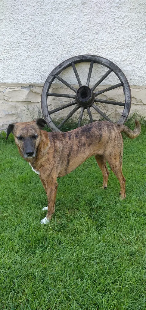 Andachtsbild von Erika