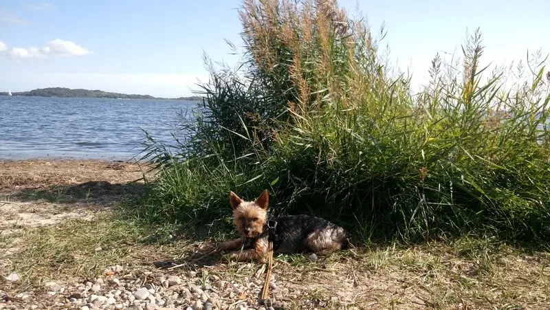 Andachtsbild von Deiner Familie