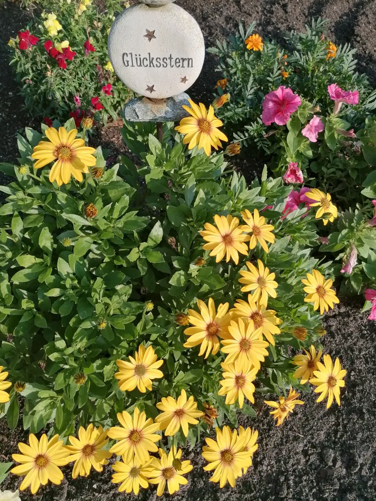 Andachtsbild von Gaby mit Snowy im Herzen 