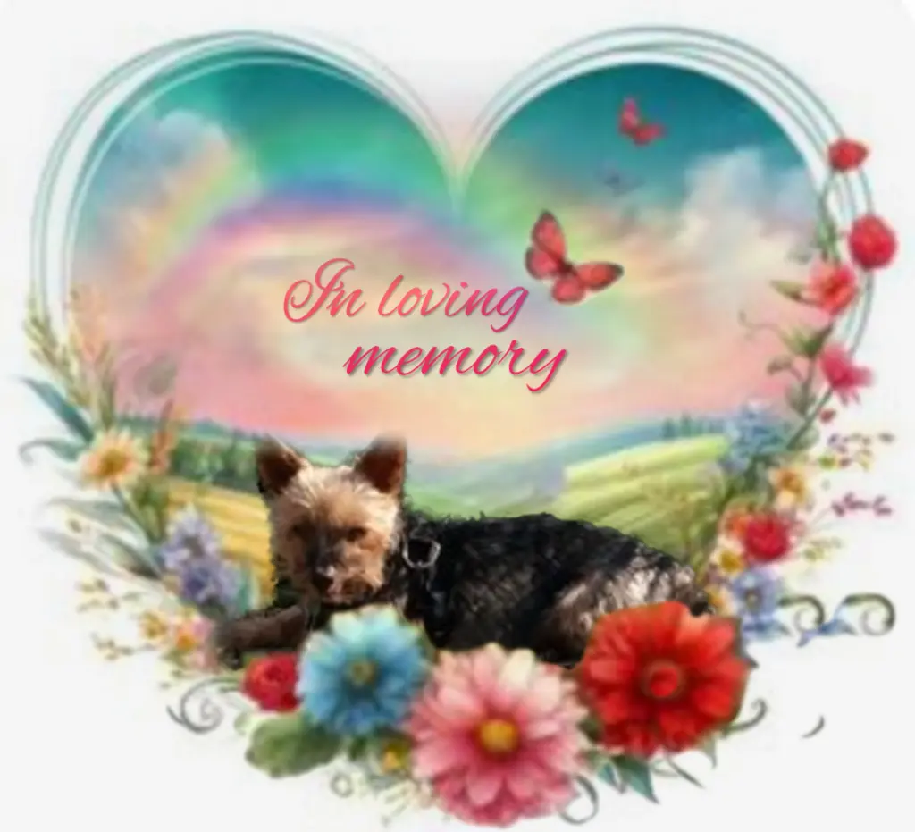 Andachtsbild von Flick♥️ geliebt♥️ und unvergessen♥️