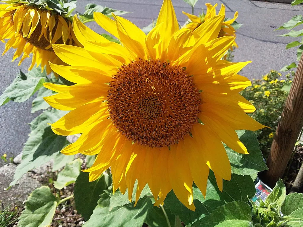 Andachtsbild von Deiner Familie