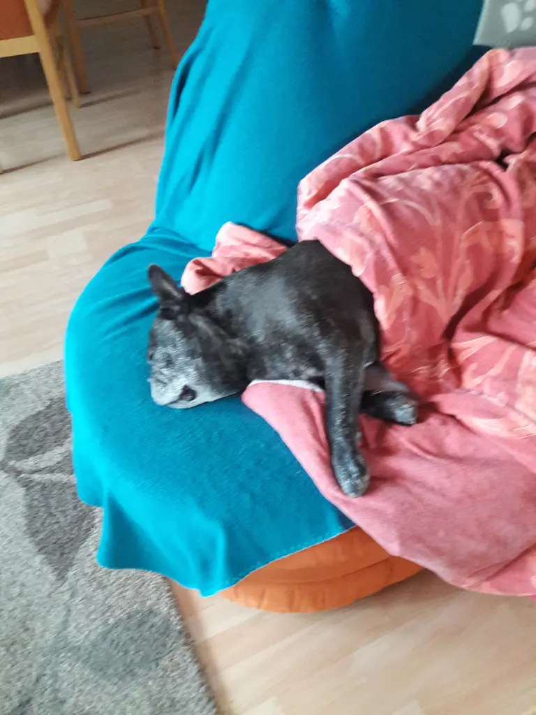 Andachtsbild von Alois und Gudrun mit Yoda ❤️