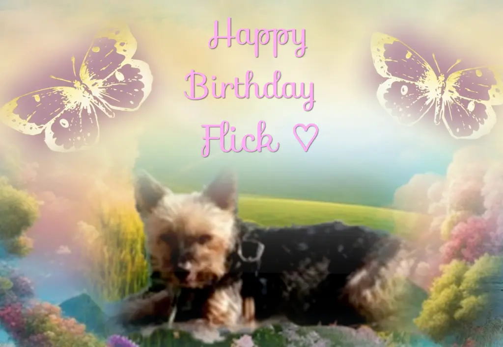 Andachtsbild von ♡Happy Birthday ♡Flick ♡