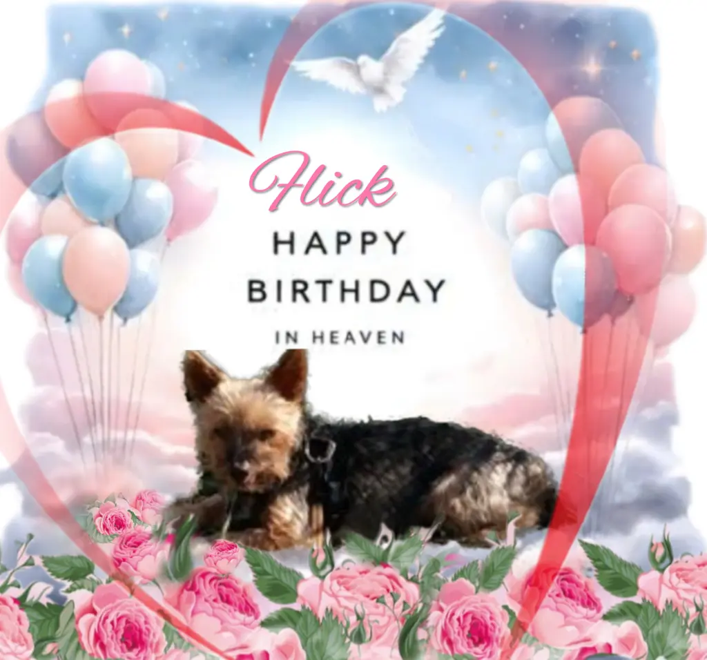 Andachtsbild von ♥️Happy Birthday lieber Flick♥️