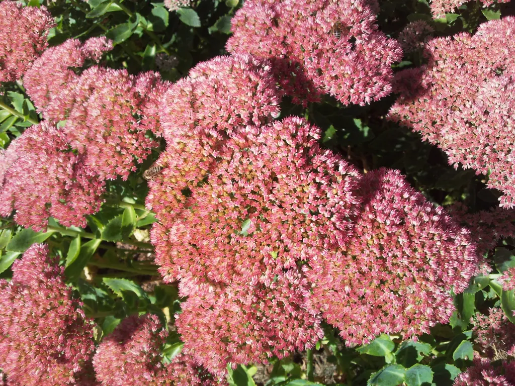 Andachtsbild von Deiner Familie