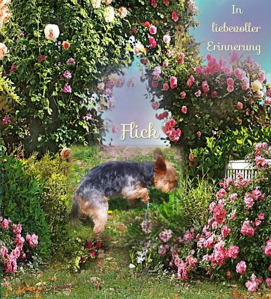 Andachtsbild von Dem Herzen ewig nah ❤️