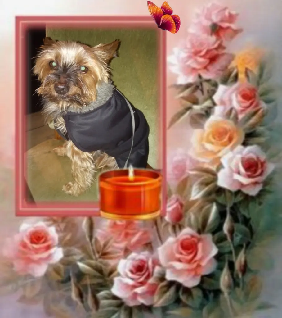 Andachtsbild von Flick♥️ geliebt♥️ und unvergessen♥️