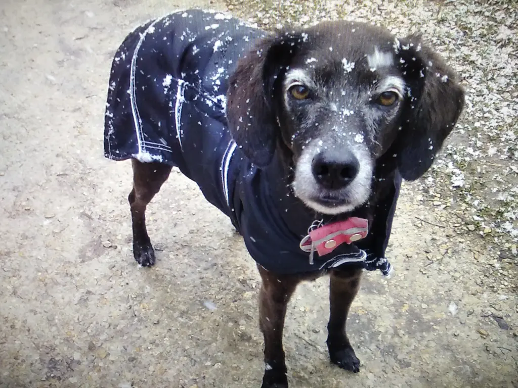 Andachtsbild von Erika Cremer