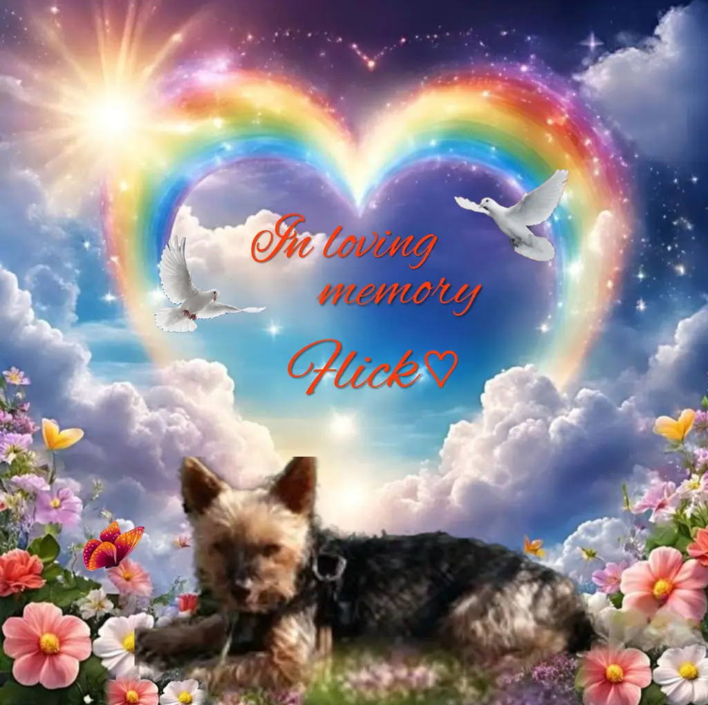 Andachtsbild von Flick♥️ geliebt♥️ und unvergessen♥️ 