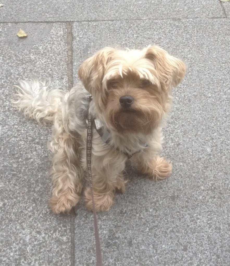 Andachtsbild von Christiane mit Kenny im Herzen