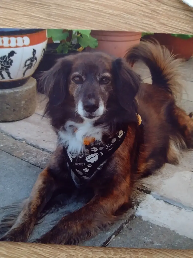 Andachtsbild von Beate mit Ella im ❤️