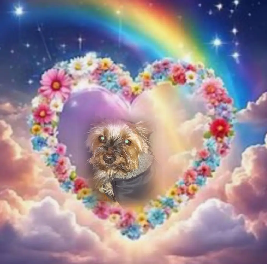 Andachtsbild von ♥️♥️